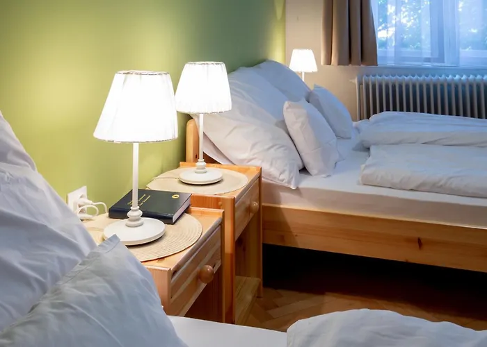 Guest house Csoemoeri Vendeghaz